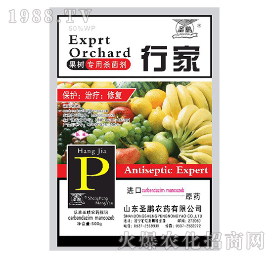 ���䌣�Ú�����-�����м�-ʥ�i