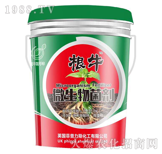 ������˹΢�������-���r�S