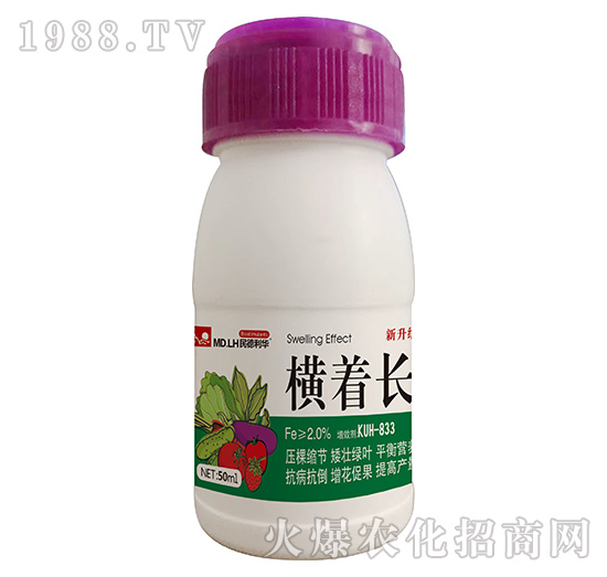 �M���L(zh��ng)-������A