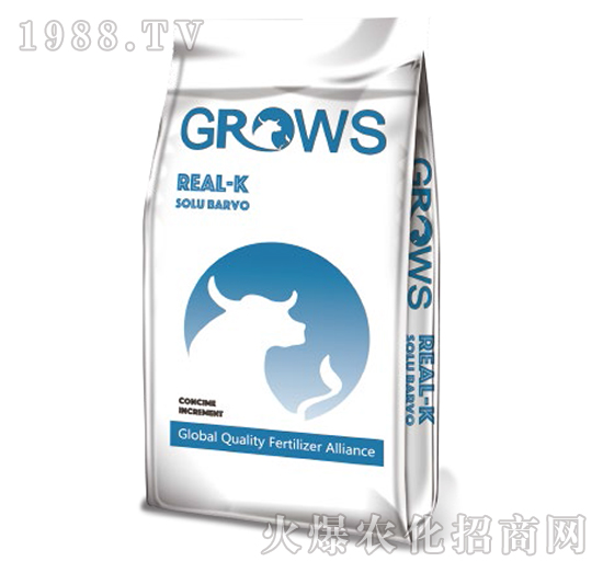 ���܏�(f��)�Ϸ�-���_ʩ-��ʢ����