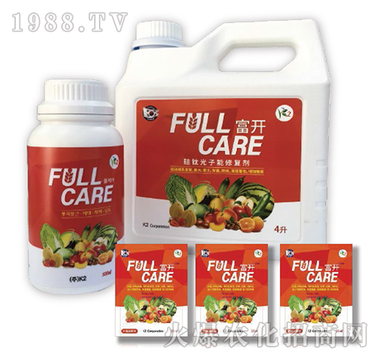 ����ޏ�(f��)��-���_(k��i)-��ʢ����