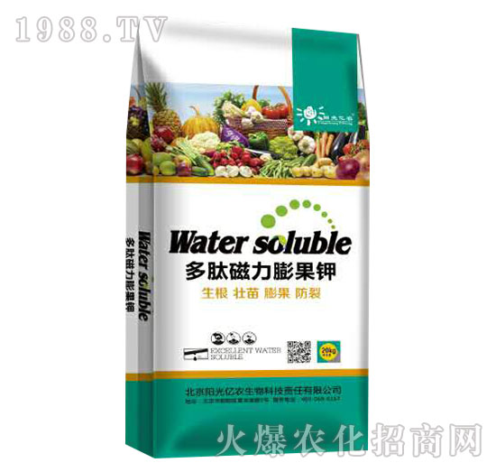 ���Ĵ�������-ꖹ�|�r(n��ng)