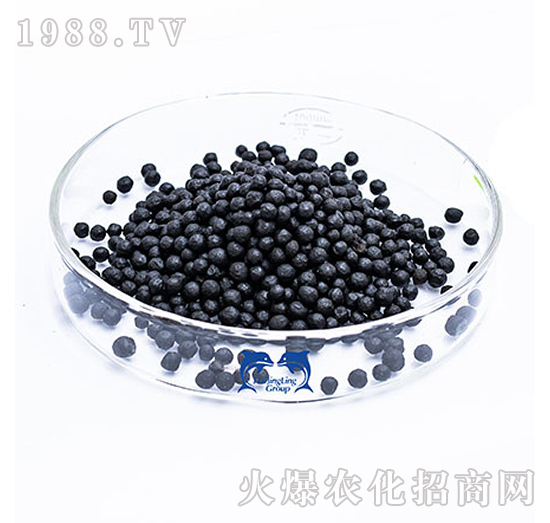 ������ȡ����-���L�`