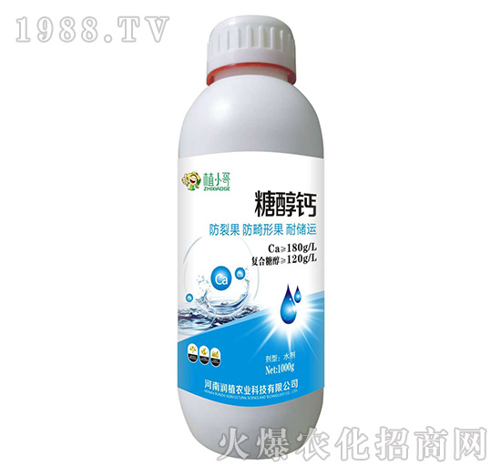 �Ǵ��}-��ֲ