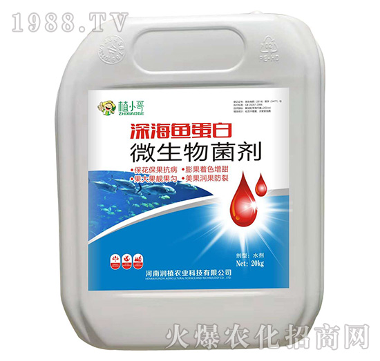 ΢�������-��~(y��)����-��(r��n)ֲ