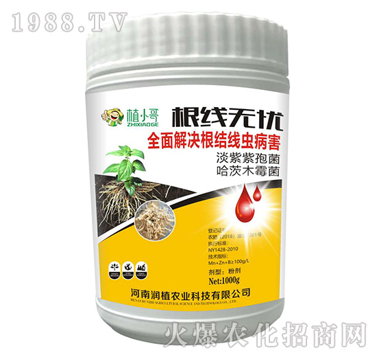 �����o�n-��ֲ