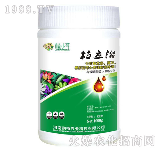 ������-��ֲ