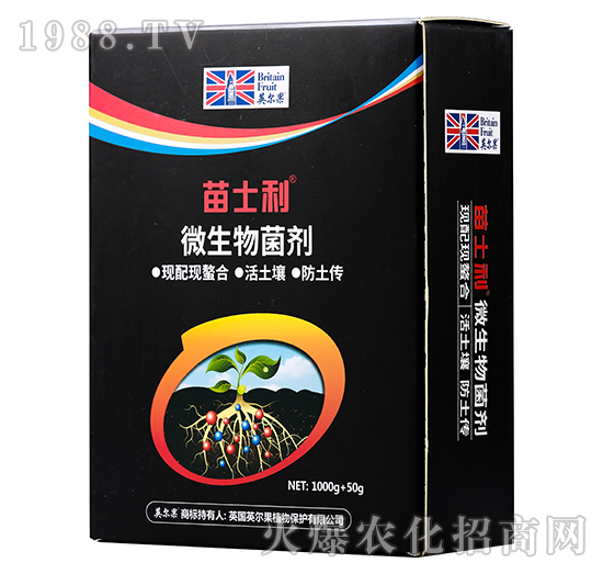 ΢�������-������-Ӣ����