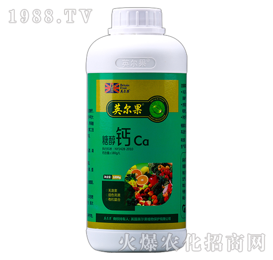 �Ǵ��}-Ӣ����