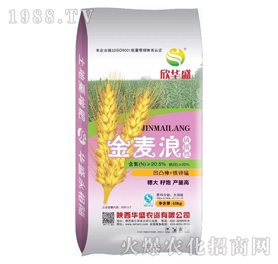 ������-�Aʢ�r(n��ng)�Y