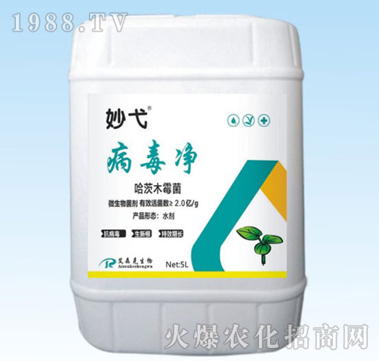 ����ľù��-������-���-��ɭ��