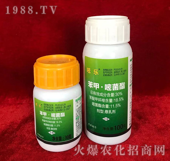 30%���ס��׾���-�ט�-���_�rˎ