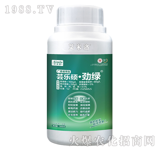 �V�Vͨ�����|���T���žG-������