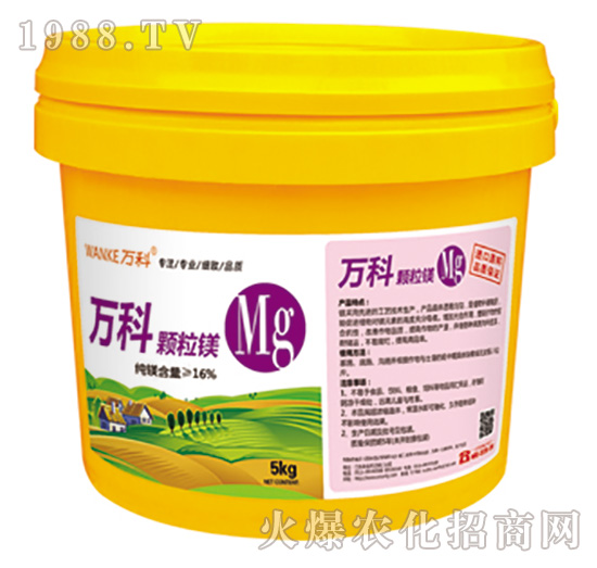 �w���V-�f��