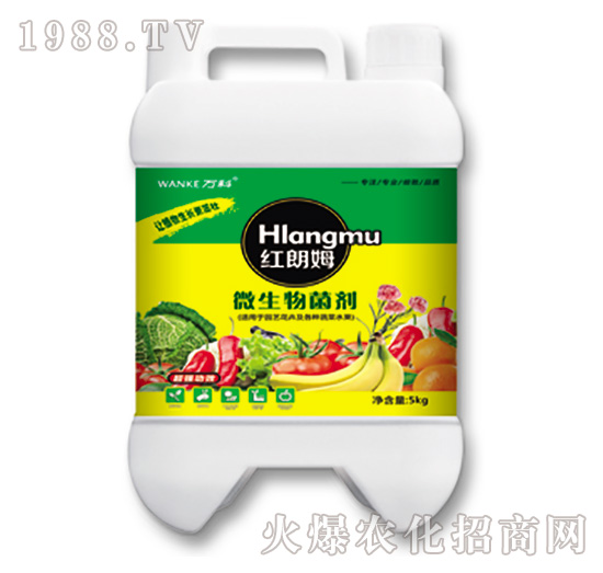 ΢�������-�t��ķ-�f��