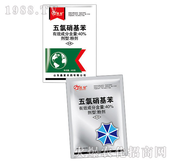 40%����������-����