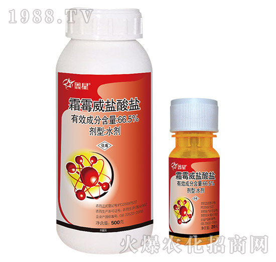 66.5%˪ù���}���}-����