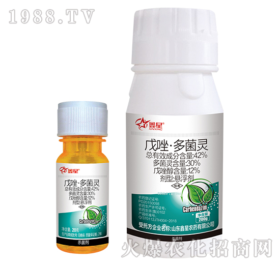 42%���򡤶���`-����