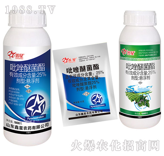 25%�����Ѿ���-����