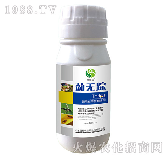 �E�R���������܄�-�E�o(w��)ۙ-��ֲ��(y��u)