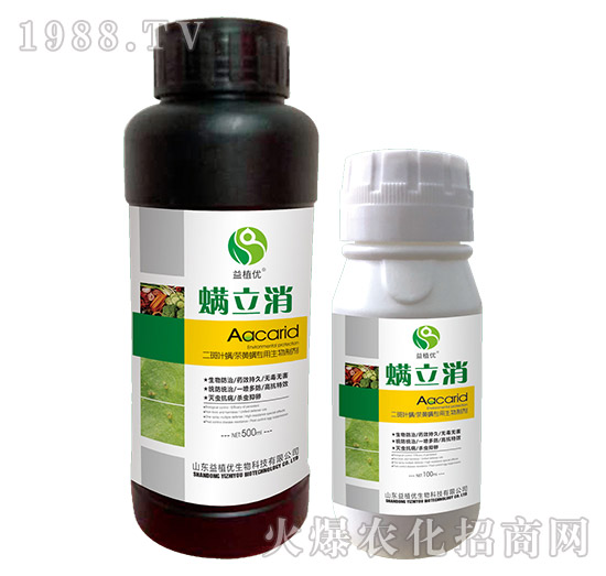 �����~�����S�����������Ƅ�-������-��ֲ��(y��u)