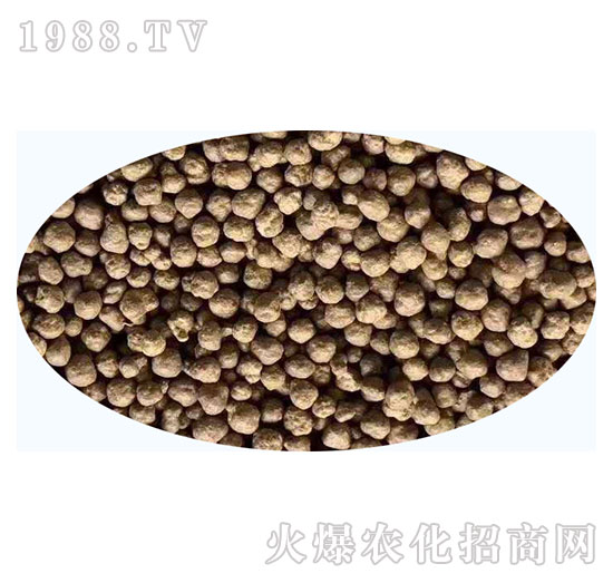 �����{(di��o)�턩-�ε��R