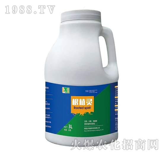 ��ֲ�`-��(sh��)��