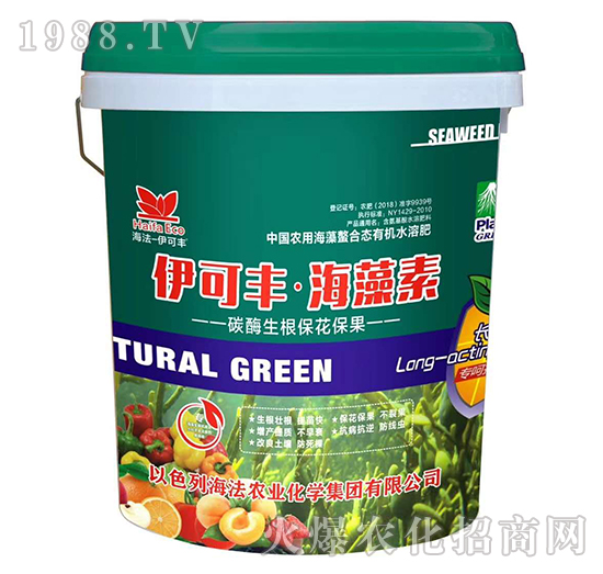 ̼ø������������-�����S��������-����