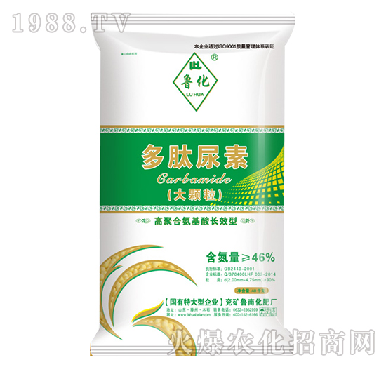 ���w����������-����