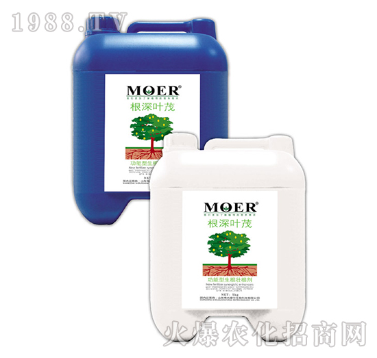 �����~ï-Ħ������