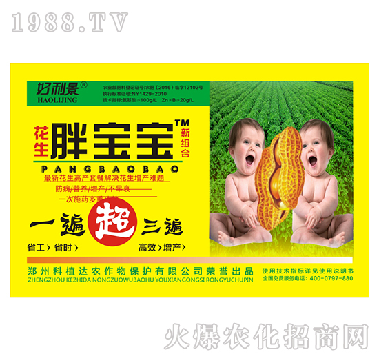 �����֌���-������-��ֲ�_(d��)