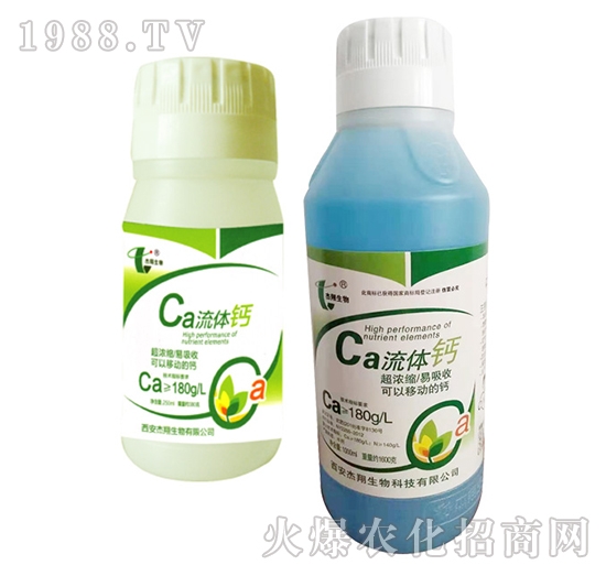 ���w�}-��������