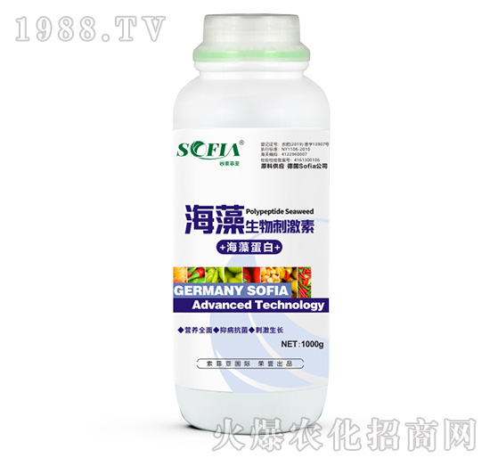 ��������̼��أ�1000g��-���Ɓ�