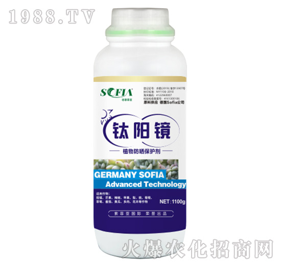 ֲ������o(h��)��-���R��1100g��-���Ɓ�