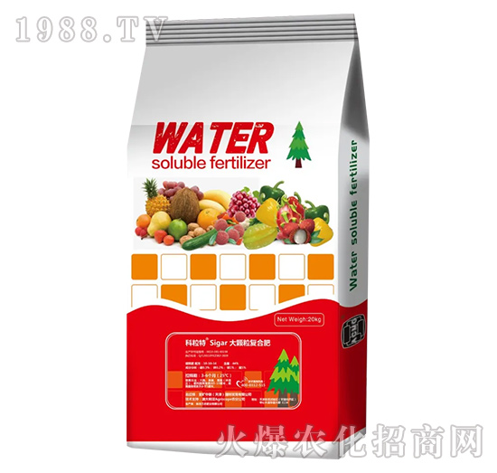 ���w����ጷ�-���V��(li��n)