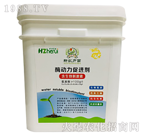 ø�������M(j��n)��-���𻯹�