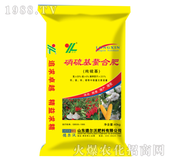 ��������Ϸ�-���-� ���