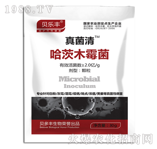 ����ľù��-�����-ؐ���S