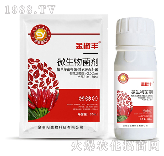 ΢�������-���S-���