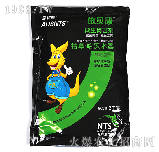 ΢�������-ʩؐ��-����ʩ