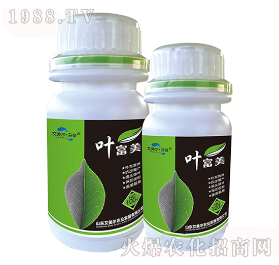 ȫ�I�B(y��ng)�~���-�~����-�����������u