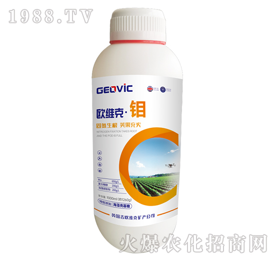 �W�S�ˡ��f-�A�˱���