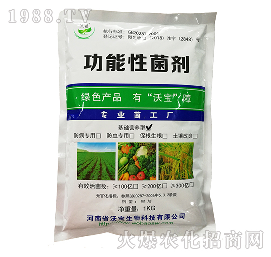 ���A�I�B(y��ng)�͹������-�֌�����