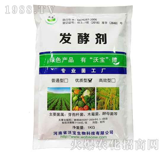 ��(y��u)�|(zh��)�l(f��)�̈́���5����-�֌�����