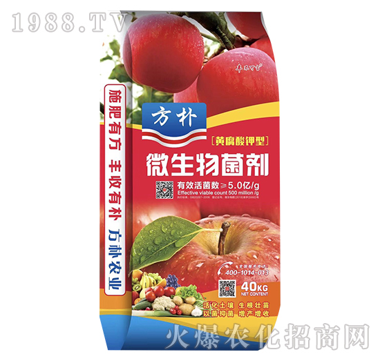 �S�������΢�������-����