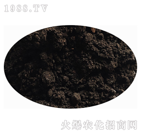 �l(f��)�ͷۄ�-��(r��n)�r(n��ng)��