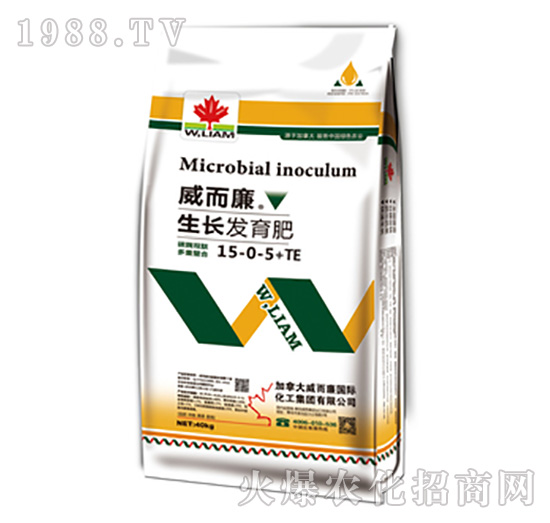 ���L�l(f��)����15-0-5+TE-������