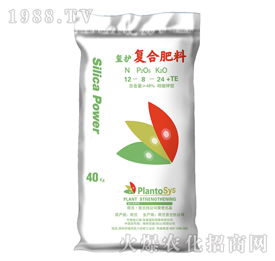 ����⛏�(f��)�Ϸ���-�t�o-���؇��H