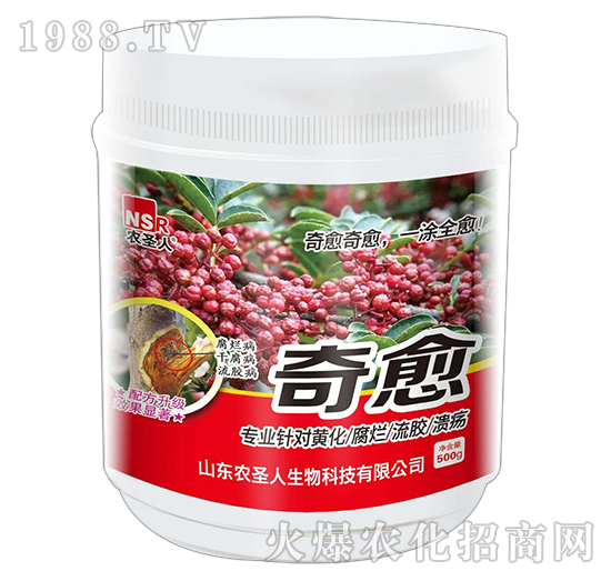 ����-�r(n��ng)ʥ��