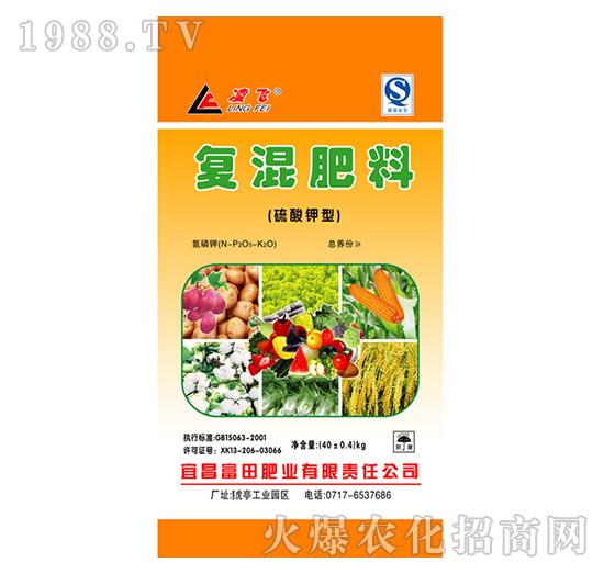 ������͏�(f��)�����-����ʘI(y��)